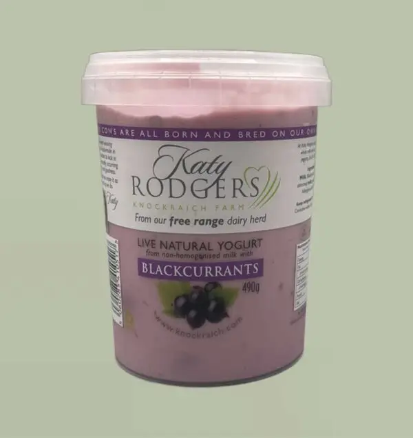 Katy Rogers Blackcurrant Live Yoghurt