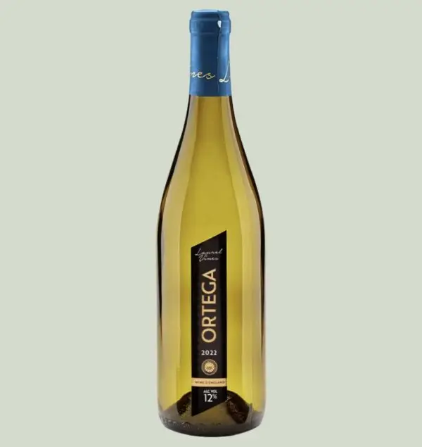Laurel Vines Ortega