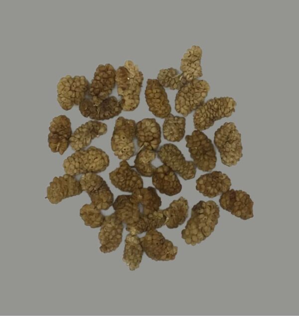 Dried Mulberries