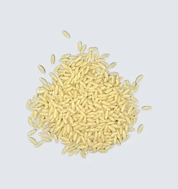 Organic Orzo