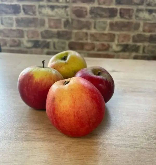 Organic Apples