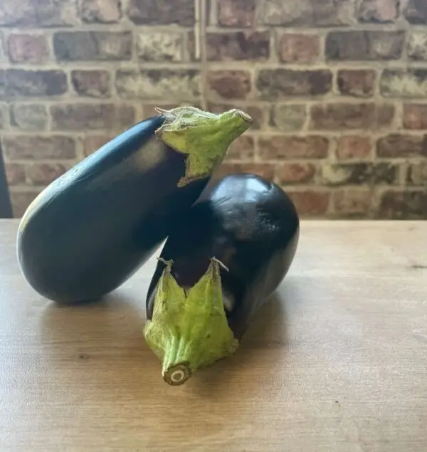 Organic Aubergine