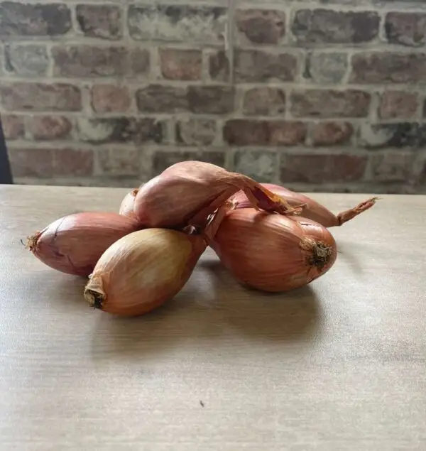 Organic Banana Shallots