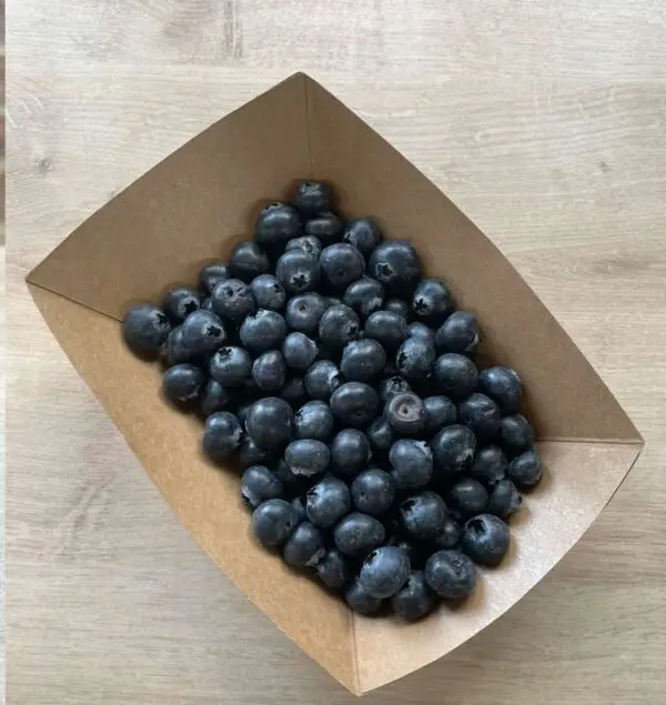 Organic Blueberries