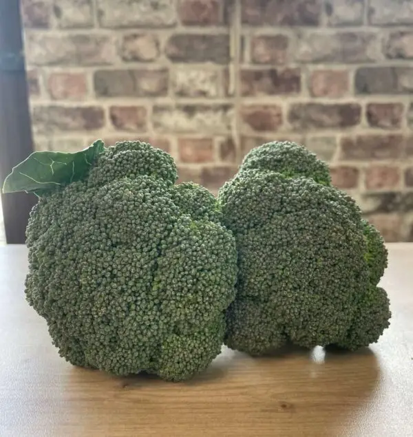 Organic Broccoli