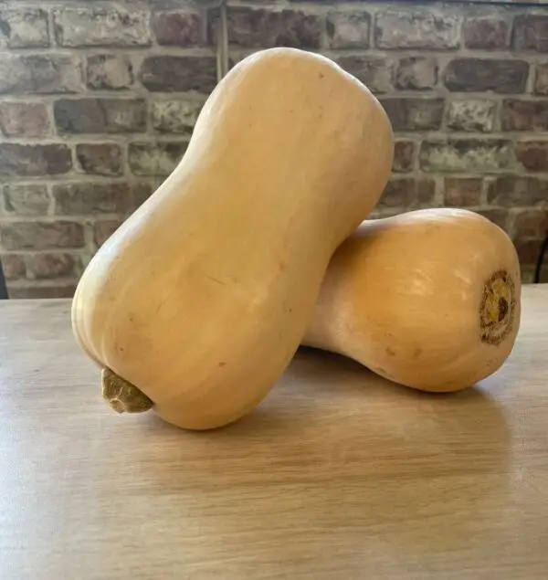 Organic Butternut Squash