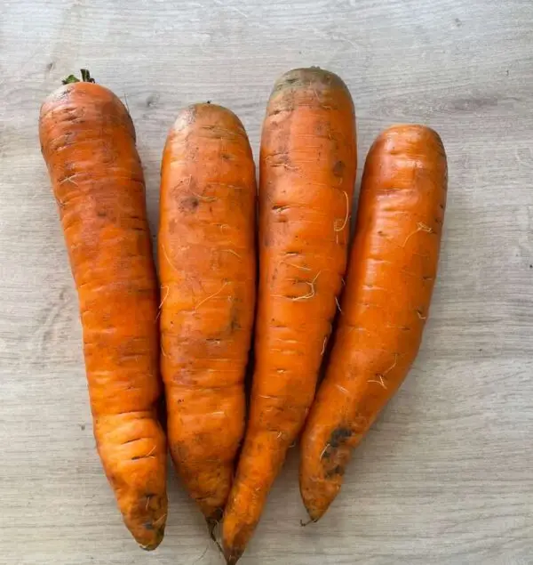 Organic Carrots