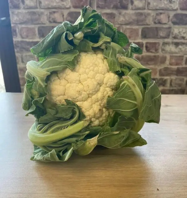 Organic Cauliflower