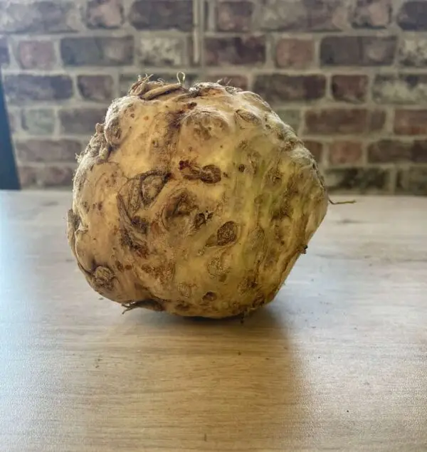 Organic Celeriac