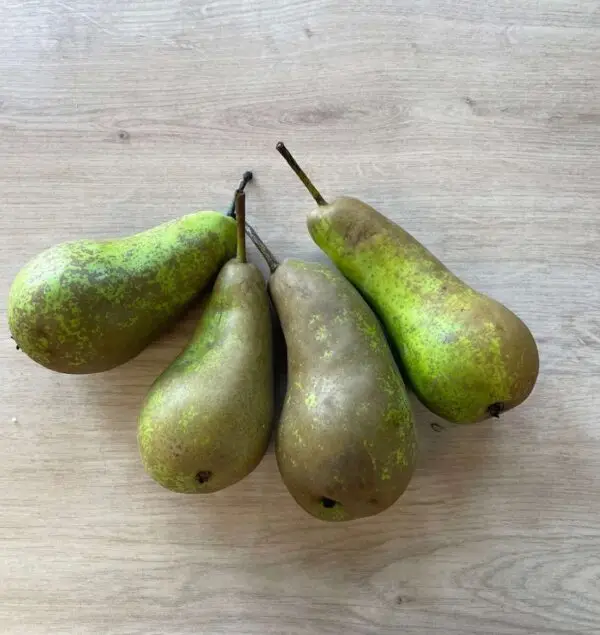 Organic Conference Pears