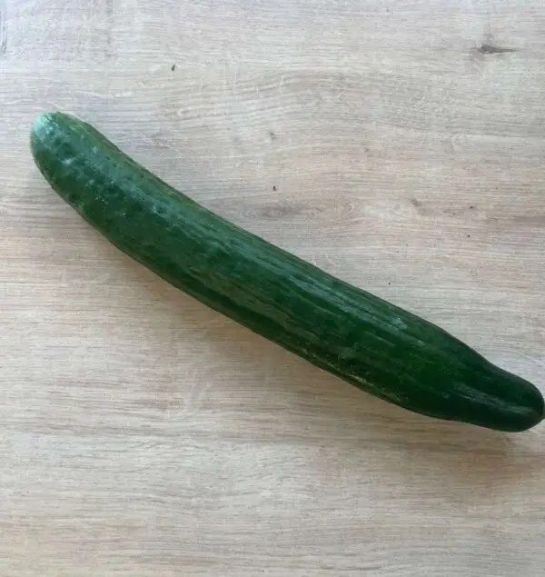 Organic Cucumber