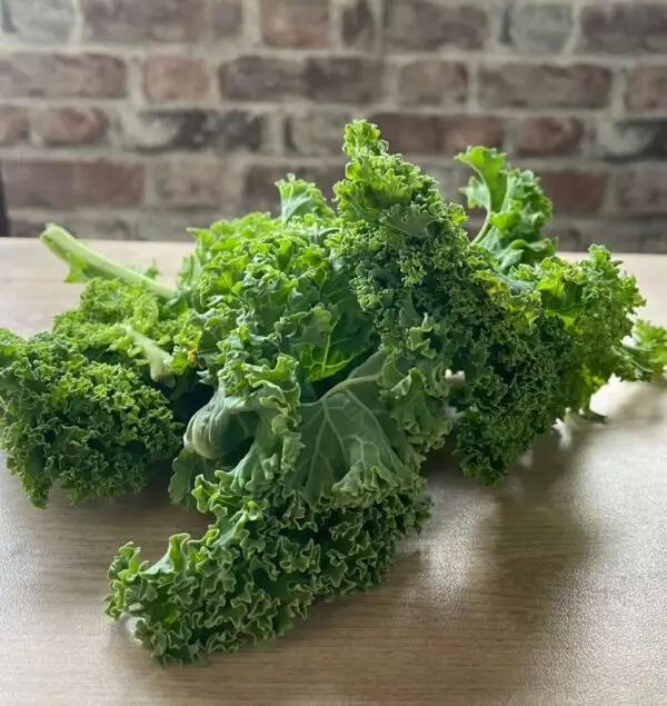 Organic Green Kale