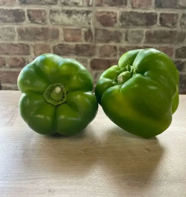 Organic Green Peppers