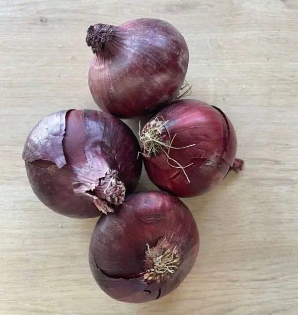 Organic Red Onions