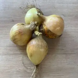 Organic White Onions