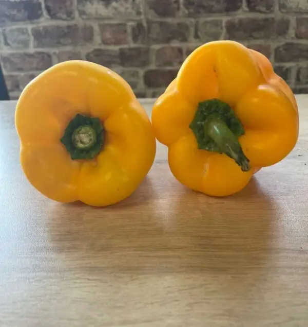 Organic Yellow Peppers